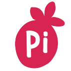 @andy-pi