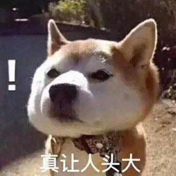 @shulaoda