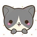 @JeAnine9ann