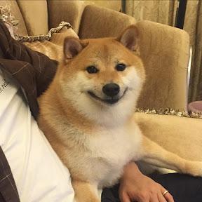 @VottonDev