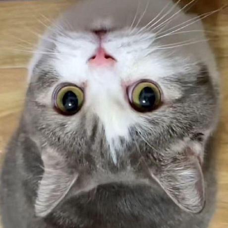 @wwcxin