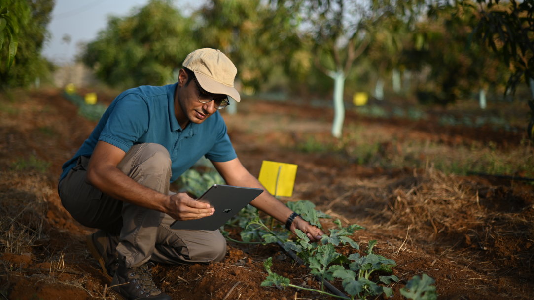 A man using a tablet on a farm while inspecting crops