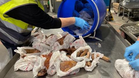 A person wearing a high-vis jacket and blue plastic gloves pulls sausage meat wrapped in white plastic bags out of a blue bucket.