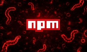 NPM worms