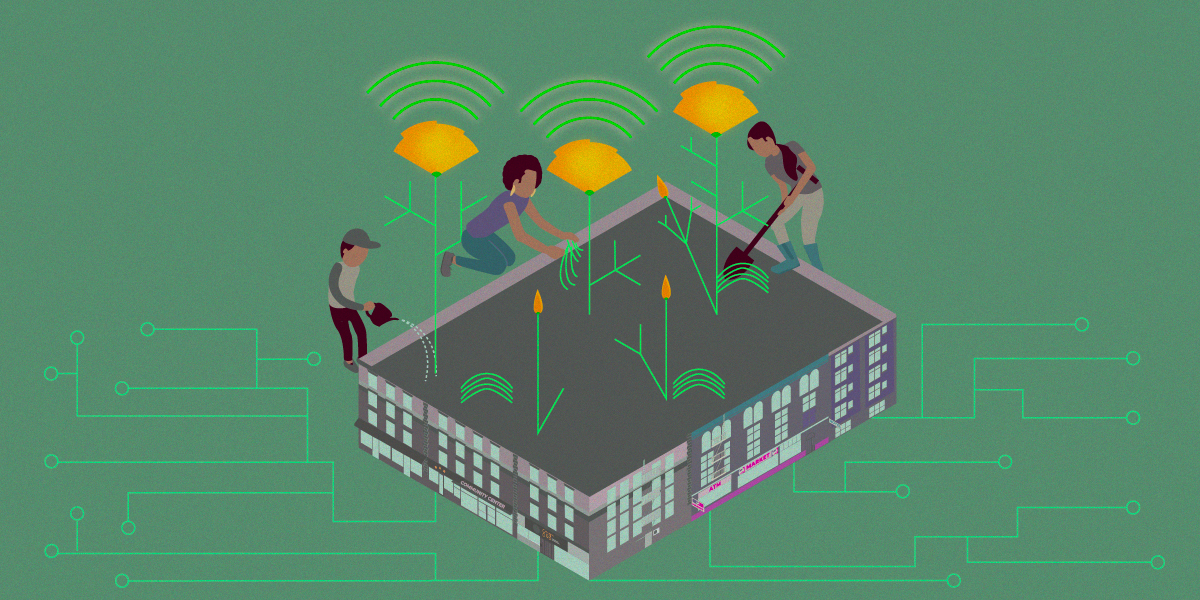 3 cultivate a community garden of wifi poppies, the raised bed is a neighborhood block