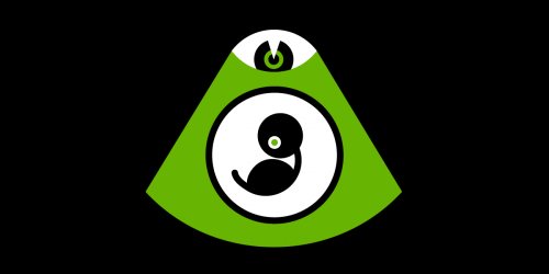 The Pregnancy Panopticon The Pregnancy Panopticon