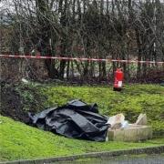 The scene of the crash back in February