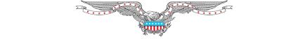 Washington Examiner Logo