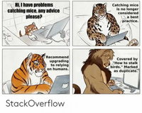 StackOverflow_Really_wonderful_people.png