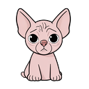 cat_20.png